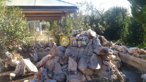 独立建筑 8158m<sup>2</sup> for sale photo 6