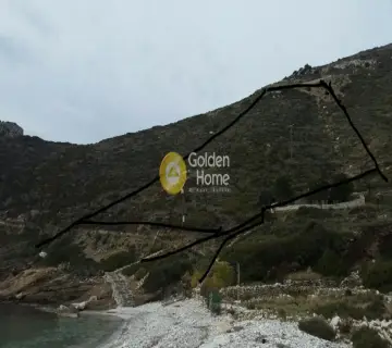 Αγροτεμάχιο 12500τ.μ. προς πώληση φωτογραφία 2