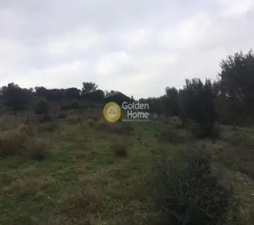 Οικιστικό 971τ.μ. προς πώληση φωτογραφία 1