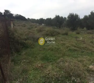 Οικιστικό 971τ.μ. προς πώληση φωτογραφία 2