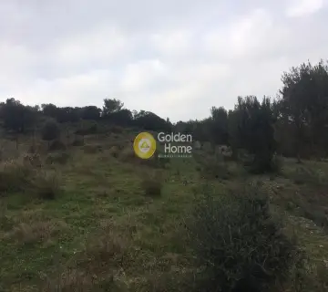 Οικιστικό 971τ.μ. προς πώληση φωτογραφία 3