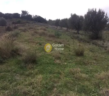 Οικιστικό 971τ.μ. προς πώληση φωτογραφία 4