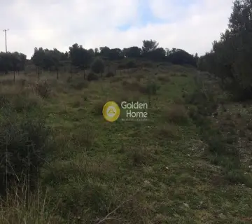 Οικιστικό 971τ.μ. προς πώληση φωτογραφία 5