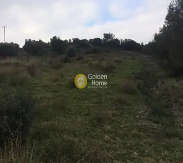 Οικιστικό 971τ.μ. προς πώληση φωτογραφία 6