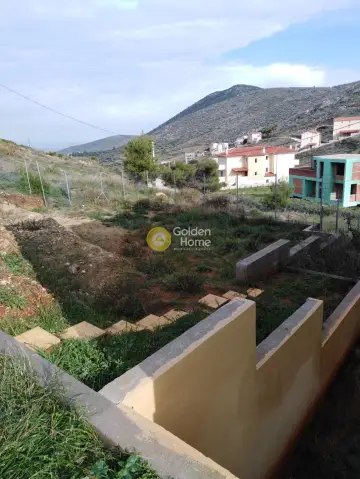 Μονοκατοικία 480τ.μ. προς πώληση φωτογραφία 23