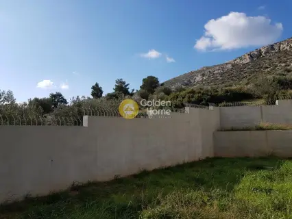Μονοκατοικία 480τ.μ. προς πώληση φωτογραφία 27