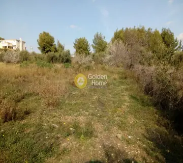Area 4875m<sup>2</sup> for sale photo 2
