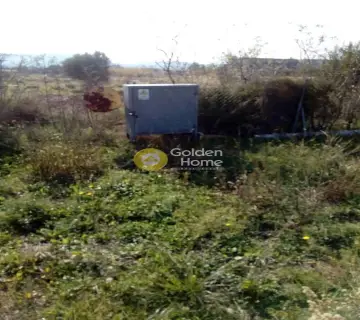 Area 4875m<sup>2</sup> for sale photo 4