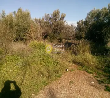 Οικιστικό 697τ.μ. προς πώληση φωτογραφία 2