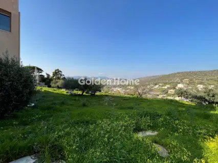 Μεζονέτα Ανεξάρτητη 450τ.μ. προς ενοικίαση φωτογραφία 29