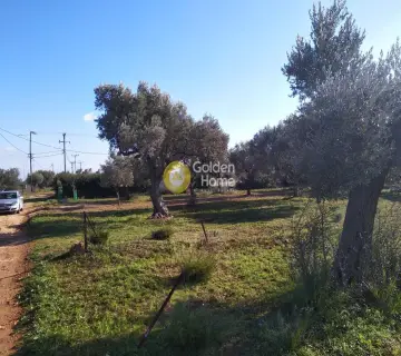 Parcel 1500m<sup>2</sup> for sale photo 5