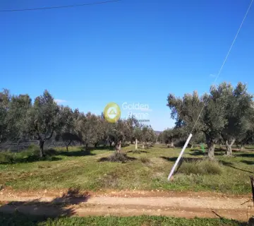 Parcel 1500m<sup>2</sup> for sale photo 9