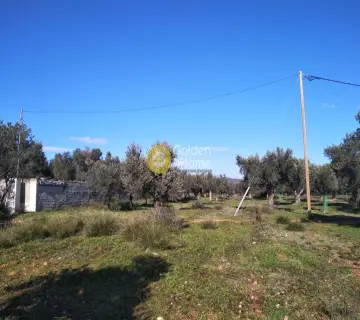 Parcel 1500m<sup>2</sup> for sale photo 10
