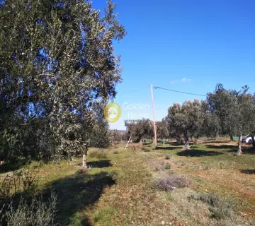 Parcel 1500m<sup>2</sup> for sale photo 11