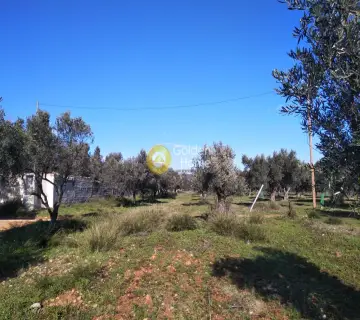 Parcel 1500m<sup>2</sup> for sale photo 12