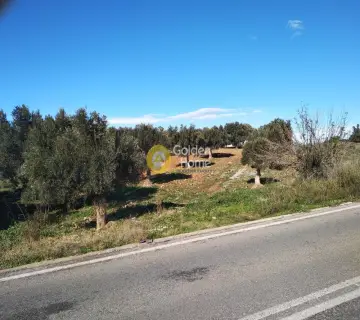 Parcel 3000m<sup>2</sup> for sale photo 4