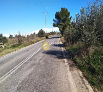 Parcel 3000m<sup>2</sup> for sale photo 5