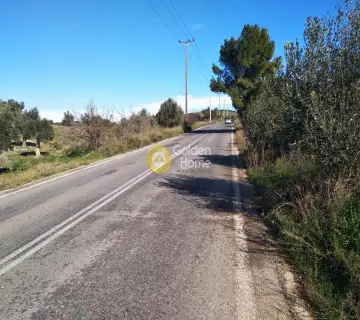 Parcel 3000m<sup>2</sup> for sale photo 6