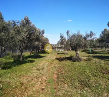 Parcel 3000m<sup>2</sup> for sale photo 15