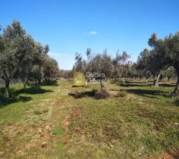 Parcel 3000m<sup>2</sup> for sale photo 17