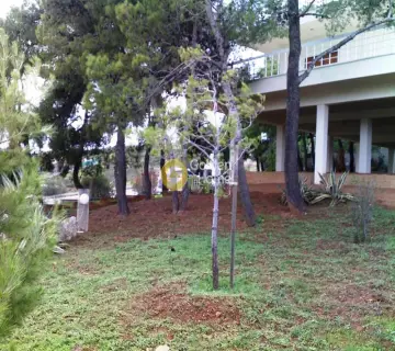 House 195m<sup>2</sup> for sale photo 6