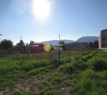 Professional Plot 2500m<sup>2</sup> for sale photo 3812408
