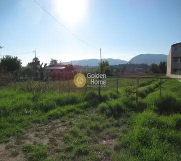 Professional Plot 2500m<sup>2</sup> for sale photo 3812409
