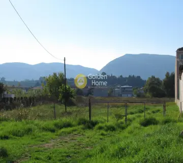 Professional Plot 2500m<sup>2</sup> for sale photo 2