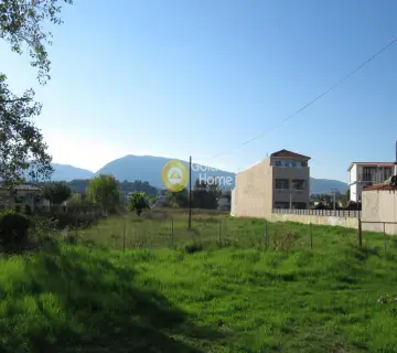 Professional Plot 2500m<sup>2</sup> for sale photo 3