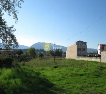 Professional Plot 2500m<sup>2</sup> for sale photo 4