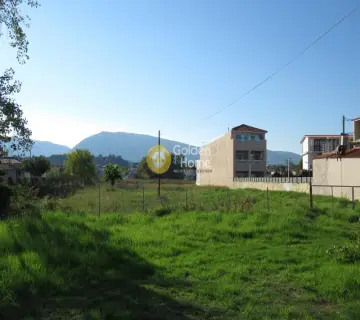 Professional Plot 2500m<sup>2</sup> for sale photo 6