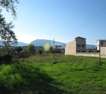 Professional Plot 2500m<sup>2</sup> for sale photo 5