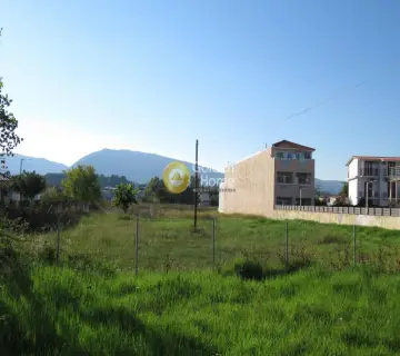 Professional Plot 2500m<sup>2</sup> for sale photo 9