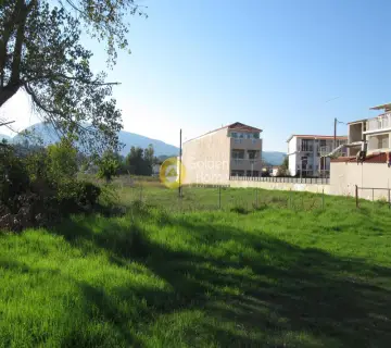 Professional Plot 2500m<sup>2</sup> for sale photo 11