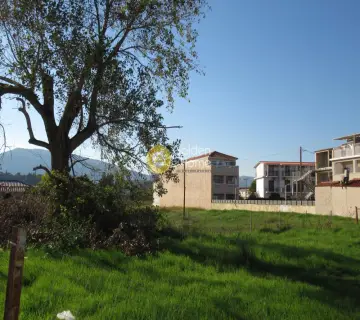 Professional Plot 2500m<sup>2</sup> for sale photo 12