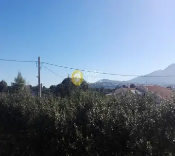 Οικιστικό 1000τ.μ. προς πώληση φωτογραφία 1488747