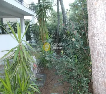 House 385m<sup>2</sup> for sale photo 1