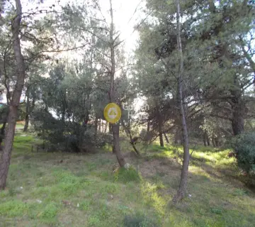 Οικιστικό 2640τ.μ. προς πώληση φωτογραφία 3