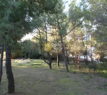 Οικιστικό 2640τ.μ. προς πώληση φωτογραφία 6