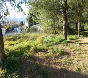 Οικιστικό 2640τ.μ. προς πώληση φωτογραφία 5