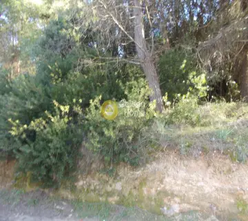 Οικιστικό 2640τ.μ. προς πώληση φωτογραφία 8