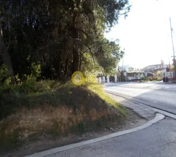 Οικιστικό 2640τ.μ. προς πώληση φωτογραφία 9