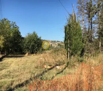 Residential 8000m<sup>2</sup> for sale photo 4