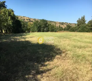 Residential 8000m<sup>2</sup> for sale photo 5