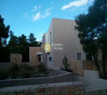 Μονοκατοικία 400τ.μ. προς πώληση φωτογραφία 2