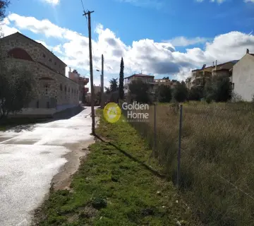 Οικιστικό 2000τ.μ. προς πώληση φωτογραφία 1503380
