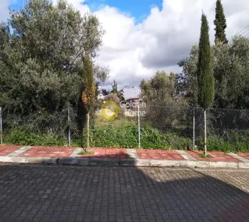 Οικιστικό 2000τ.μ. προς πώληση φωτογραφία 1503398