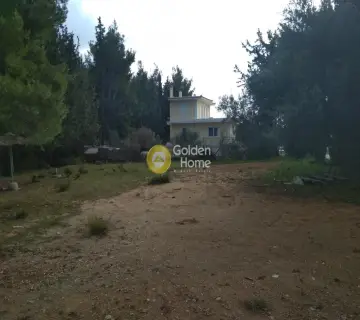 Μονοκατοικία 320τ.μ. προς πώληση φωτογραφία 10
