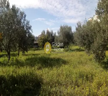 Επαγγελ. Οικόπεδο 3300τ.μ. προς πώληση φωτογραφία 1