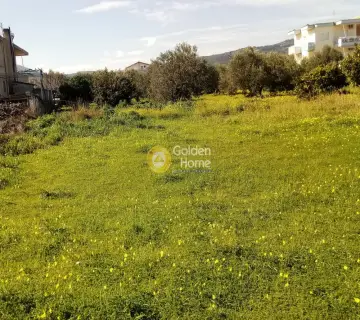 Επαγγελ. Οικόπεδο 3300τ.μ. προς πώληση φωτογραφία 3